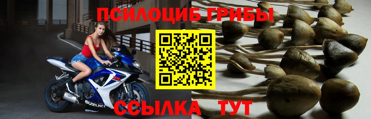 Галлюциногенные грибы прущие грибы  Вход с VPN  Прокопьевск 